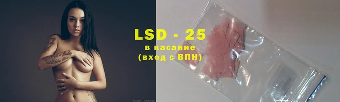 мяу мяу мука Коряжма