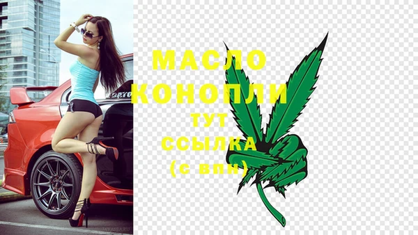 молекула духа Костерёво