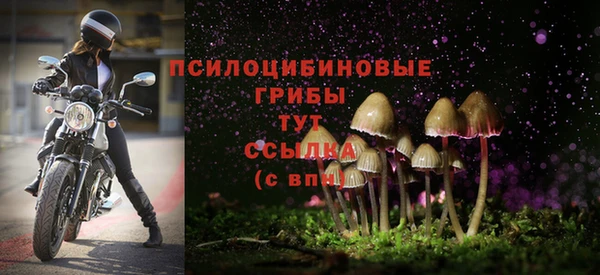 таблы Корсаков