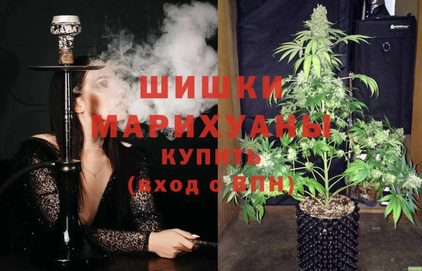 молекула духа Костерёво