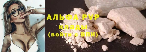 мяу мяу мука Коряжма