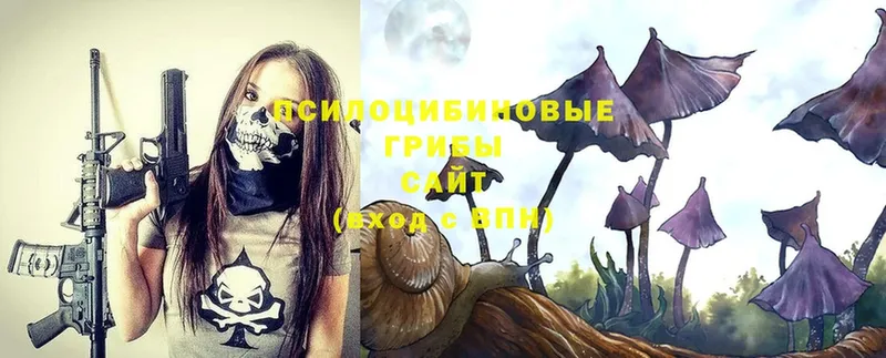 Галлюциногенные грибы Psilocybe  Жуковка 